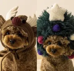 Item thumbnail for item 31874d94-77ff-4ddf-b577-bac84945b6ac