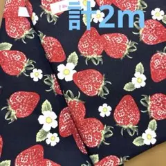 【特価】最終出品★１組限り★オックス★リアルいちご　白花★