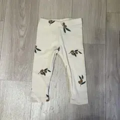 organic zoo