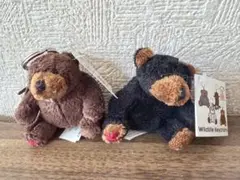 キーホルダー カナダ ぬいぐるみ セット 新品 未使用 セール