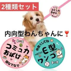 Item thumbnail for item 7da959dd-39cf-4b4d-b789-d00739ac3569