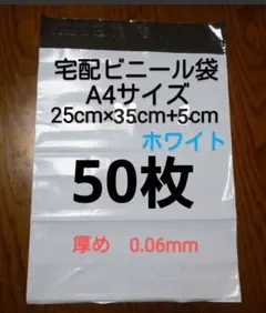 Item thumbnail for item 580bfaf4-5587-432d-83e0-9c93331ddd97