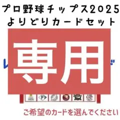 くり様　プロ野球チップスカード　4枚