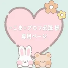 ✳︎こま✳︎プロフ必読 様 オーダー3点