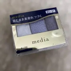 Item thumbnail for item 01f749c7-4ffd-4690-95c1-7169b0f0ff2d