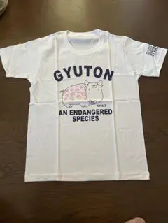 新品未使用　世田谷ベース　所ジョージオリジナル牛豚tシャツ　超激レア