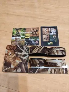 Item thumbnail for item 1c67142e-c155-4568-a7df-1083aebf02b2