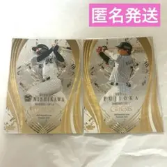 Item thumbnail for item f94b0a39-0e70-46aa-83d4-e4e8a3fbef04