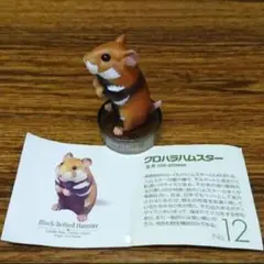 【新同品】ハムスターズランチ・クロハラハムスター
