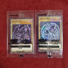 真紅眼の黒竜+青眼の白龍　セット