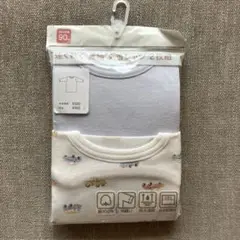 Item thumbnail for item 25e4214a-1c3a-4b9c-9b44-60caaf27b3d2