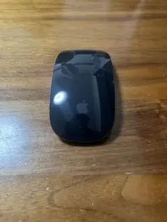Apple Magic Mouse 2 ブラック 本体とケーブル