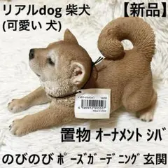 Item thumbnail for item 370033b5-a2ed-4065-b010-dbc95e363daa