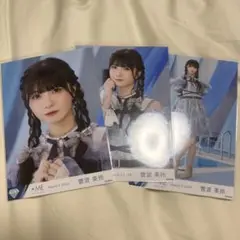 菅波美玲 生写真 コンプ
