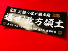 右翼団体  政治結社 街宣車 バッジ Yahoo!オークション - 【2個セット】護国 バッジ 右翼 政治結社