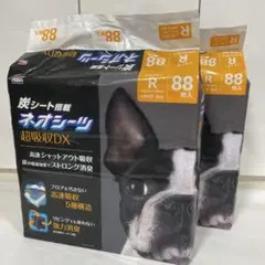 Item thumbnail for item 2ab286bd-d2cd-480b-9c2e-dc39dbb28779