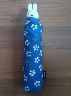 Item thumbnail for item c156fddc-7947-4039-bc90-46c02137bf00