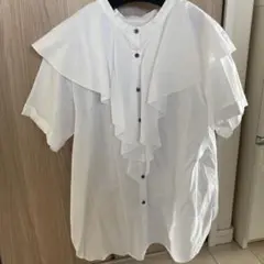 cadune フリルバンドカラーシャツ　36