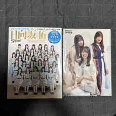 日経エンタテイメント 日向坂46 Special 2023 クリアファイル付き