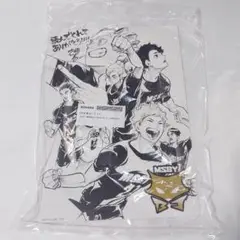 ハイキュー 日向翔陽 木兎光太郎 宮侑 描き下ろしイラストシート