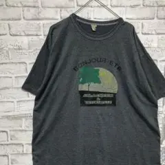 USA製90sヴィンテージTシャツ！シングルステッチ　グレー半袖古着　XL23