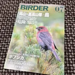 BIRDER 2020年　7月　美品