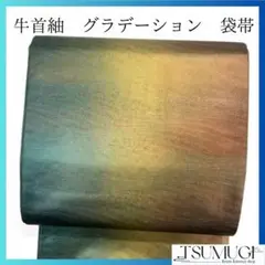 Item thumbnail for item 8e155aa9-edc7-46c1-b9c2-ab3a0f58d2b2
