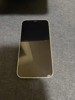 iPhone12