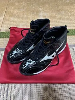 新井貴浩 実使用 トレーニングシューズ