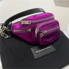 値下げ!Alexander wangショルダーバッグ mini バッグ