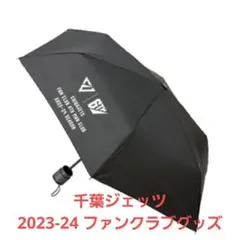 Item thumbnail for item 24c368d1-4d26-4197-96d8-5d7c566d30bb