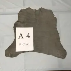 4.17m15.GY