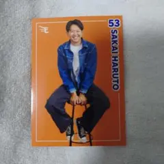 Fashion Check カード 坂井陽翔