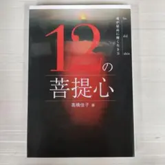 12の菩提心 魂が最高に輝く生き方