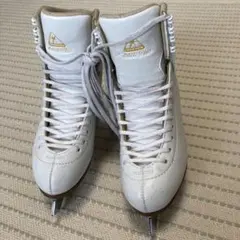 フィギュアスケート ジャクソン アーティストプラス22㎝