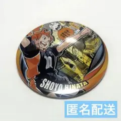 ハイキュー！！ コレクション缶バッジ memories第3弾 日向翔陽