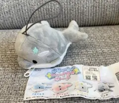 ゆるいるか　ぬいぐるみポーチ　シャチ