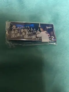 中日ドラゴンズ応援歌キーホルダー田中幹也選手