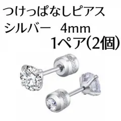 1ペア2個 　つけっぱなしピアス　2way　ネジ式　両耳