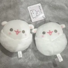 【バラ売り可能】ポメラニアンもち ぬいぐるみ 赤ちゃんもちVer.
