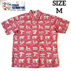 【美品】90s rayn spooner レインスプーナー 希少柄 プルオーバー