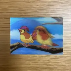 ポケモン 明治ミルクココア 3D レンチキュラー　カード ピジョン/ピジョット