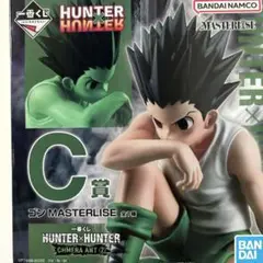 HUNTER×HUNTER ゴン C賞 MASTERLISE フィギュア