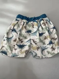 水着 95 男の子用水着 恐竜
