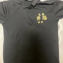 Item thumbnail for item 55c175d5-69d1-4d69-be07-2bd8618729ee