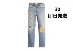 Item thumbnail for item 923823d9-b6ec-44d6-99e3-a466573a7a8b