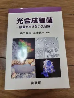 Item thumbnail for item de35acce-4c71-4e36-bef9-ba15cf0217ac