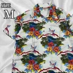 Item thumbnail for item d7f613ad-1d9f-4143-b30f-2133b5b2f8f3