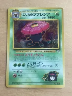エリカのラフレシア ☆ ジム拡張第1弾 リーダーズスタジアム