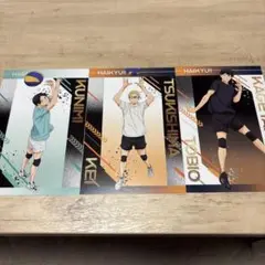 ハイキュー ユース、擬似ユースフェア 特典 ポストカード